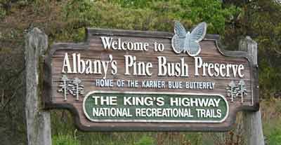 Albany Pine Bush Preserve, Albany County, New York.