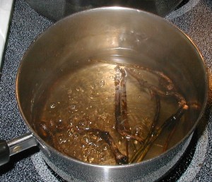 Boiling sassafras roots.