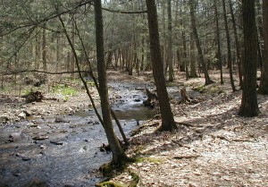 Mill Race Trail along the creek.