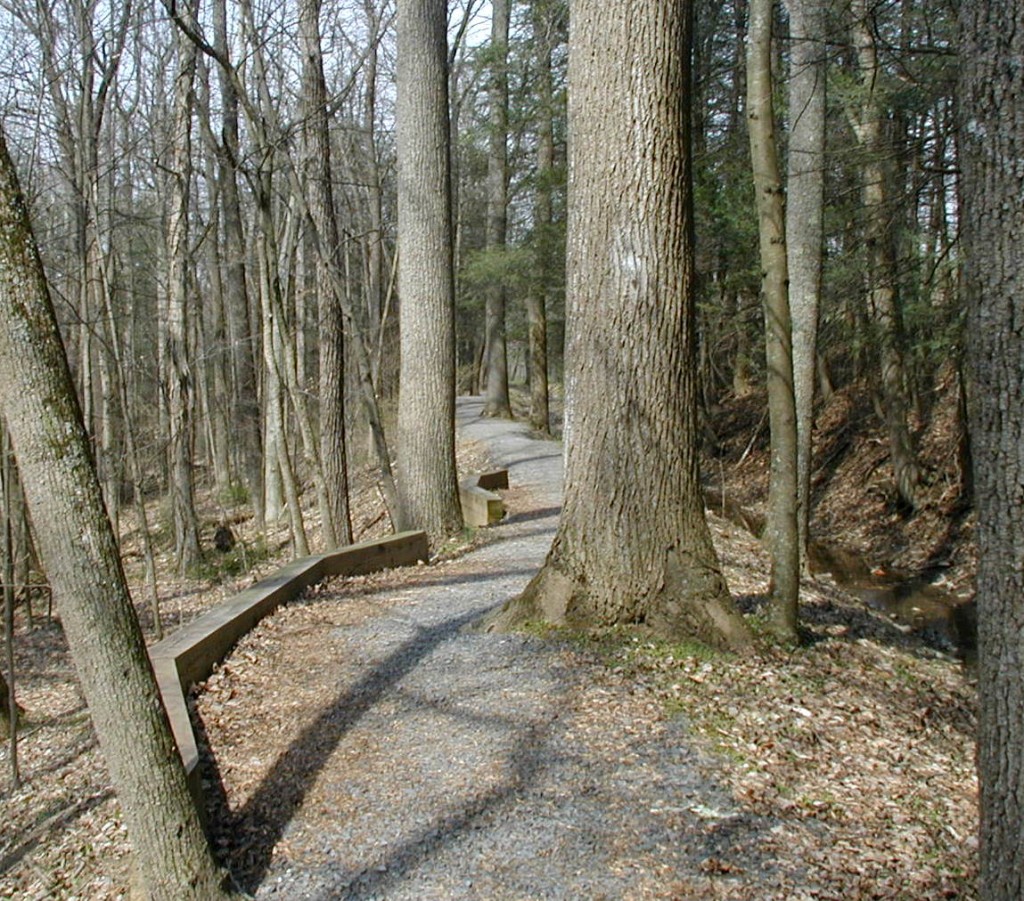 Mill Race Trail: Shoaff’s Mill, Bloodroot and Spring Beauties ...