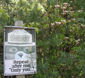 Smokey says the pinxter flower doesn't have a lovely scent.