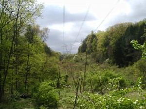 Looking down the power lines at the far end of Mill Race Trail.