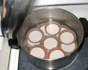 Sterilized lids and bands covered with boiling water.