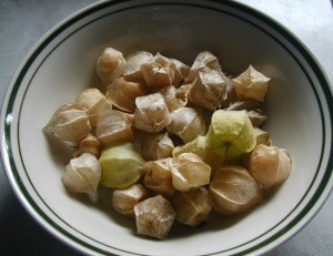 Paper sheaths the husk tomatoes.