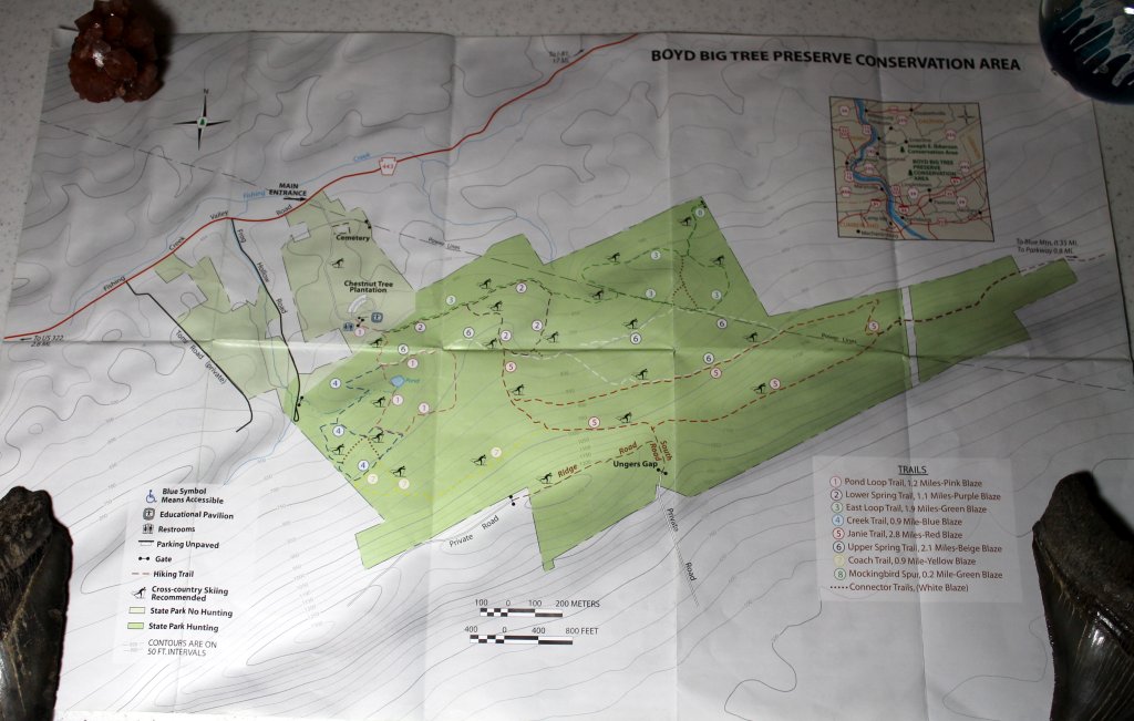 Trail Map for Boyd Big Tree Preserve