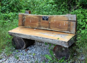 Trail Bench Made From Logs