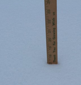 Blizzard Dropped 17 Inches of Snow