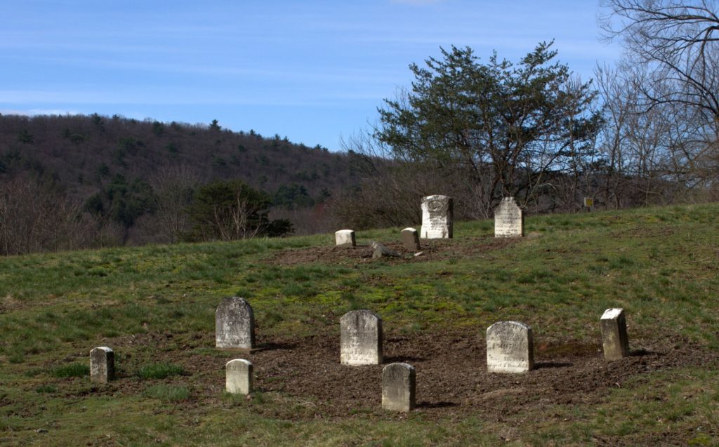 Looking Back at Cemetery Footstones Where Storksbills Grow